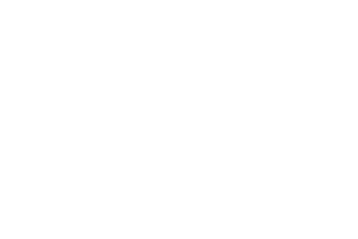 Project Processing & Development